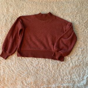 Cozy Cropped Turtle Neck Sweater